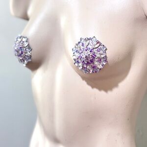 Elegant Silver and Purple Rhinestone Pasties